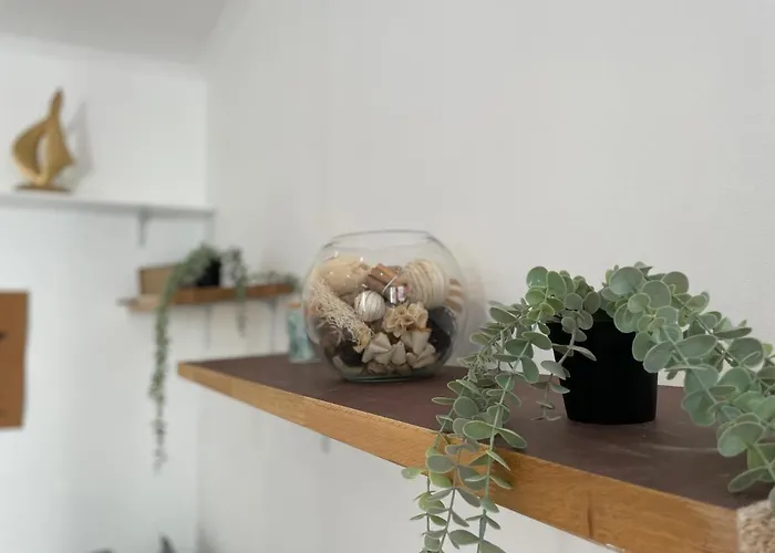 Renting - Grimaldi - Place Heart Of Golden Square - Ac - Fully Equipped شقة نيس